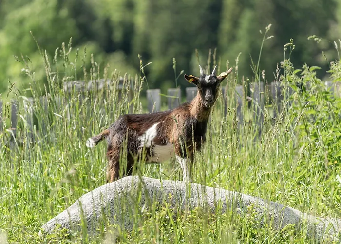 Der Ortnerhof - & Reiterhof Ξενοδοχείο