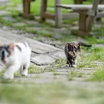Der Ortnerhof - & Reiterhof 3*
